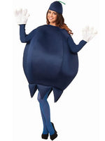 Blueberry Costume / Fruit Costume