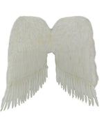 Angel Wings / Giant 36