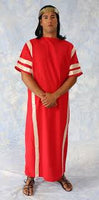 Roman Guardian Gown