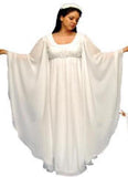 Angel Costume / White Chiffon