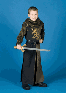 Child Knight Costume / Prince Valiant / Deluxe Quality