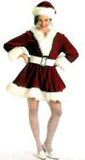 Santa's Helper / Elf / Perky Pixie / Deluxe Velvet / Professional