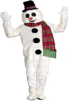 Frosty the Snowman / Winter Willie Costume