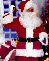 Santa Suit / Majestic Super Deluxe Santa Claus Suit
