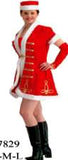 Sexy Santa's Helper Costume- RENTAL ONLY