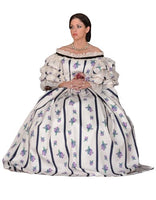 Mrs. Abe Lincoln / Mary Todd Lincoln Costume