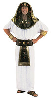 King of Egypt / King TUT / Egyptian Pharaoh / Tutankhamen Costume
