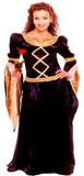 Guinevere Costume