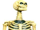 Foam Skeleton 54"