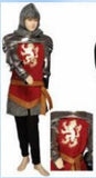 Warrior Prince / Knight Costume / Child Size