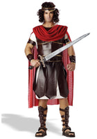 Roman Gladiator Costume / Hercules Costume