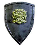 Shield Armor