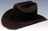 Tall Texan Cowboy Hat / Permalux