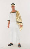Caesar Costume / Roman Toga Costume / Deluxe